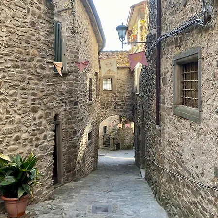 La Casa Del Voltone 아파트 *