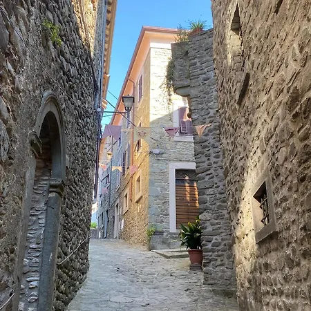 La Casa Del Voltone Apartment *