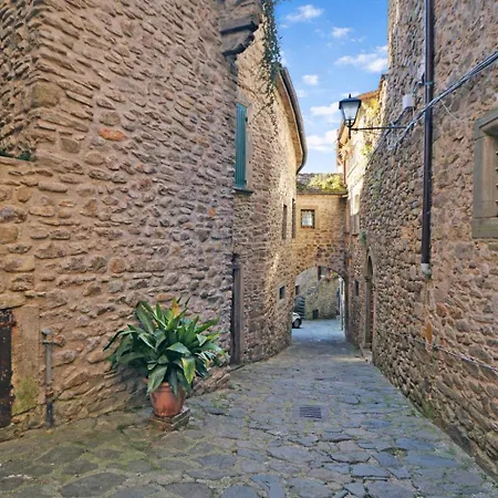 La Casa Del Voltone *